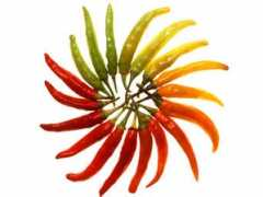 Chillies