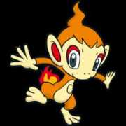 veekun.com Chimchar