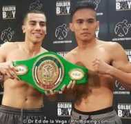 philboxing.com Chimpa