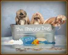 chinaishihtzu.com Chinai