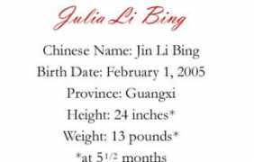myadoptionwebsite.com Chinalove