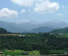 michaelturton.com Chinan