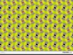 colourlovers.com Chinchila