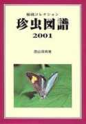 Chinchu