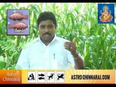wn.com Chinnaraj