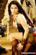 glamsham.com Chintu
