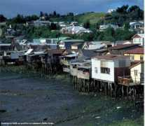Chiole