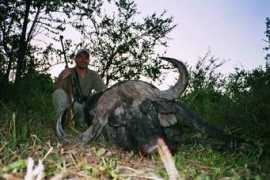 groenlandjagd.ch Chirisa