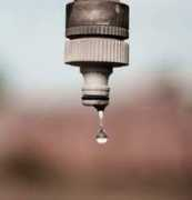 californiawatch.org Chirtes