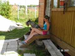 junior.ru Chitau