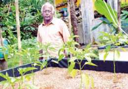sundaytimes.lk Chitrananda