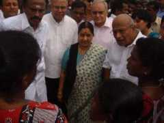 thehindu.com Chittan
