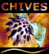 Chives