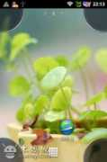 bbs.mumayi.com Chiwah