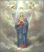 pujas.com Chlink