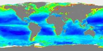 earth.rice.edu Chloro