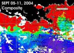 realtime-navigator.com Chloro