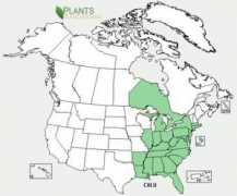 ontariowildflowers.com Chlu