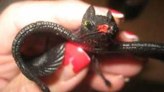 theglobeandmail.com Chmilar