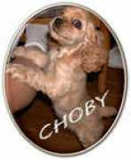 Choby
