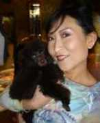 mysticalpoodles.com Chocolait