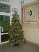 gimnazjumhelwing.hg.pl Choina
