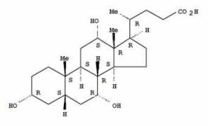 lookchem.com Cholic