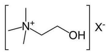 wikidoc.org Choline