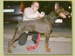 Cholt