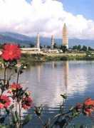 Chongsheng
