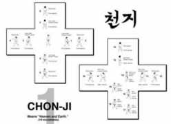 Chonji