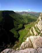 Chouchi