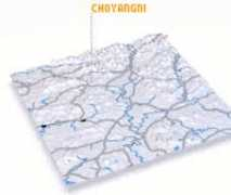 nona.net Choyang