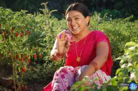 chennai365.com Chozhan