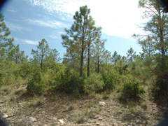 ownlandtoday.com Chresta