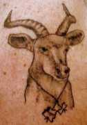 everytattoo.com Chrisant