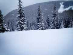 blog.vail.com Chrisanthony