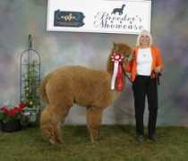 purplehazealpacas.com Chrisanto