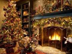 digsdigs.com Chrismas