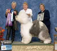oldenglishsheepdogclubofamerica.org Christiina