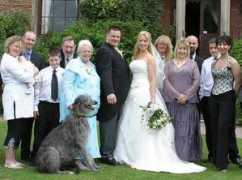 gentomdeerhounds.co.uk Chrstopher
