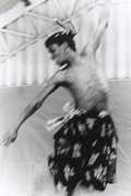 dikongo.free.fr Chrysogone