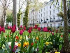 budgetplaces.com Chrysos