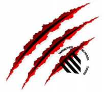 taekwondonetwork.com Chugi