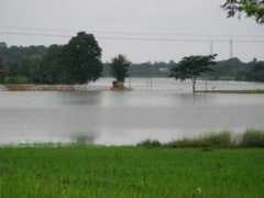 kannada.nativeplanet.com Chuncha