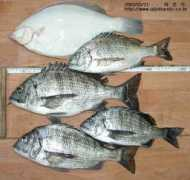 uljinbando.co.kr Chunsik