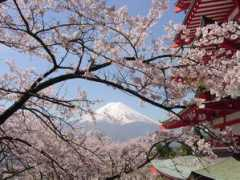 navi-city.com Churei