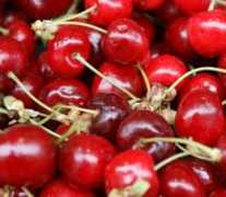 plnielanu.zoznam.sk Chutia