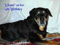 vonmarcrottweilers.com Chyme