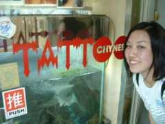Chynes